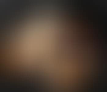 Greer Lankton (preview)