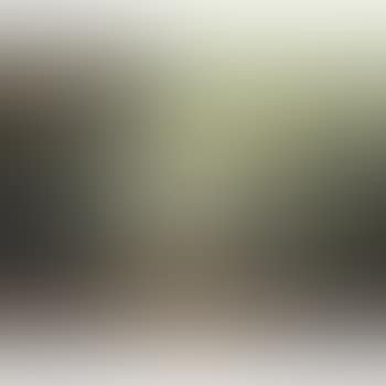 A Road through a Eucalyptus Grove (preview)