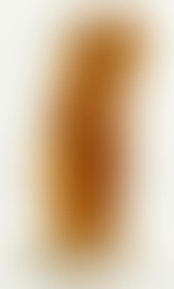 [Untitled] (preview)