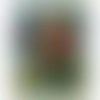 Pyrocentre (F. 267) (preview)