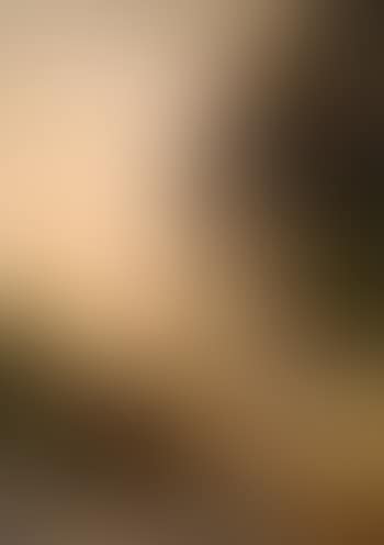 Landschaft mit Vesuv (preview)