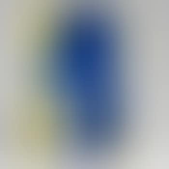 [Untitled] (preview)