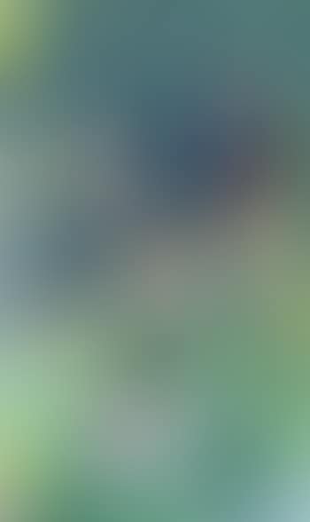 Ohne Titel (Kleine Dame mit Hündchen) (preview)