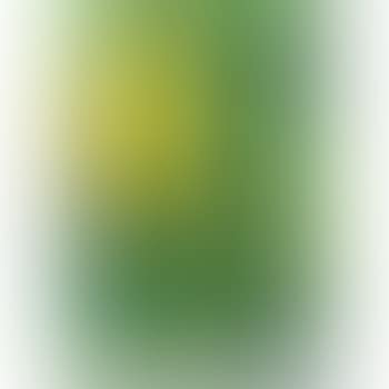 Grande girasole (preview)