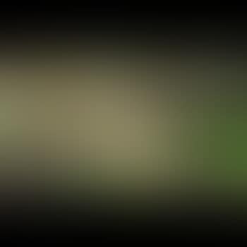 Landscape window (preview)