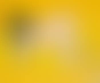 Untitled (Nude) (preview)