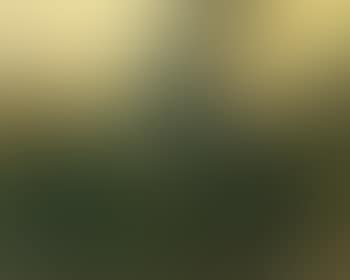 Sonnenuntergang (preview)