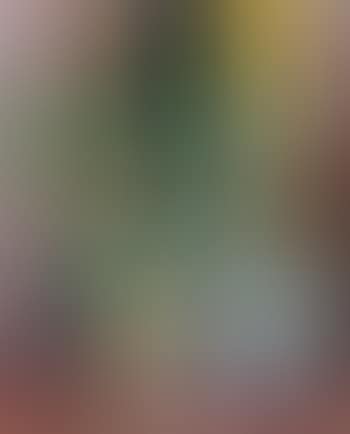 Stillleben mit Relief (preview)