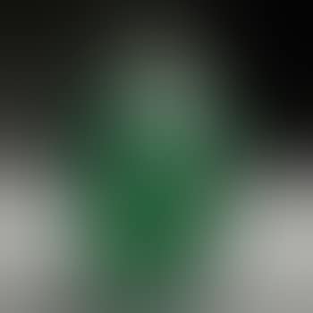 Vase (preview)