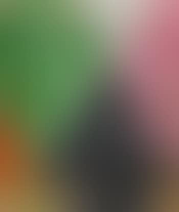 Colorimisti (preview)