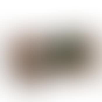 Rare Settle (preview)