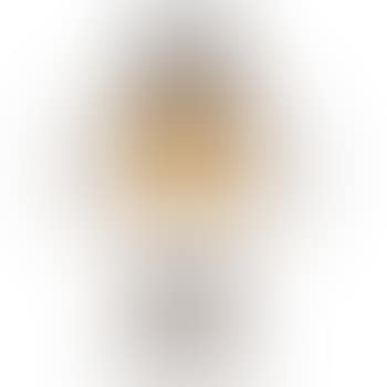 American Indian desk lamp with gold shade (preview)