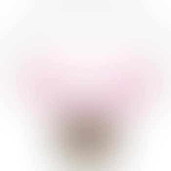 Early Bonbon Dish (preview)