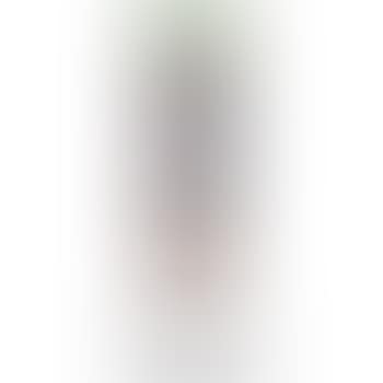 Tartessos Vase No. 27 (preview)