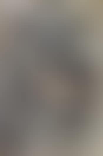 Untitled (neighing horse) (preview)