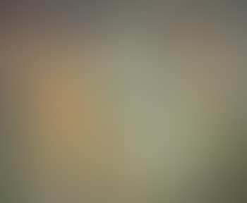 Untitled (Orphee) (preview)
