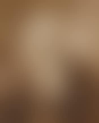 Portrait de vieillard (preview)