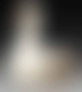 Canard (preview)