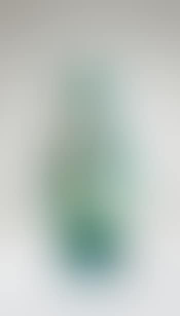 Vase (preview)