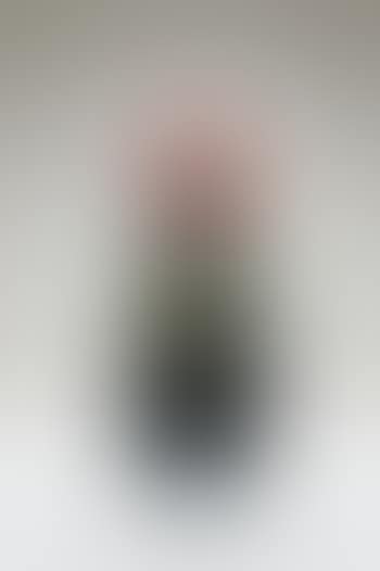 Vase aux glycines (preview)