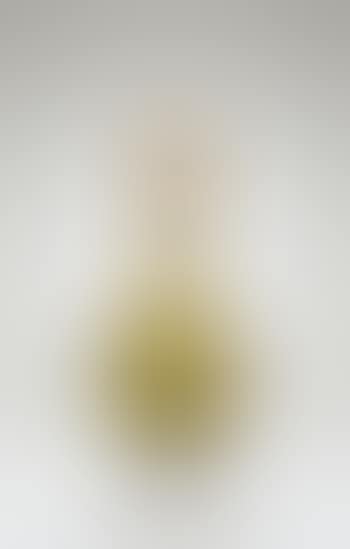Vase Soliflore (preview)