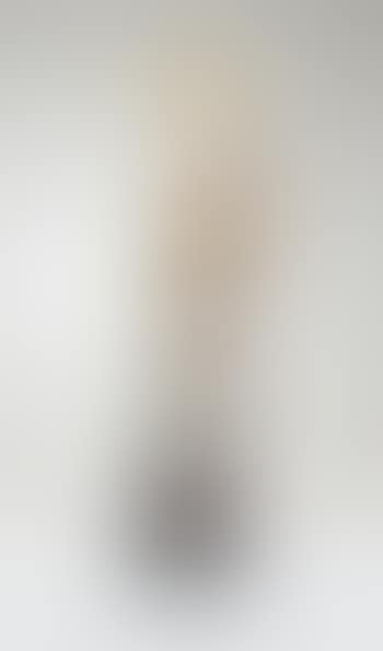 Vase Marqueterie De Verre (preview)