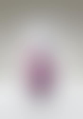 Vase (preview)