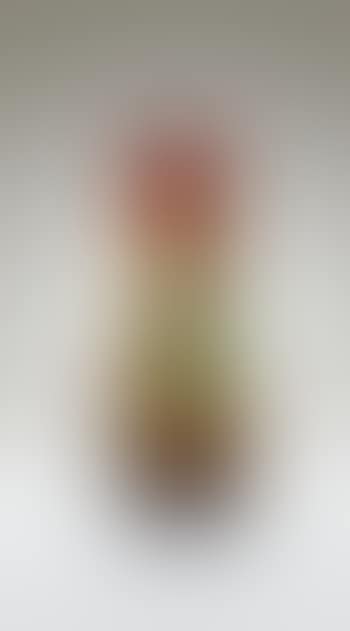 Vase Fond Marin Aux Algues (preview)