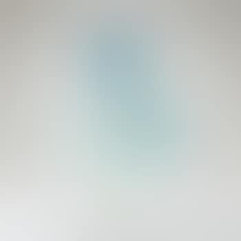 Vase ours polaires (preview)
