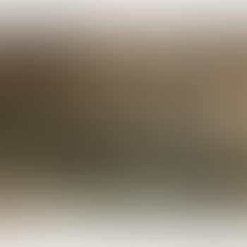 Beiersch Woud (preview)