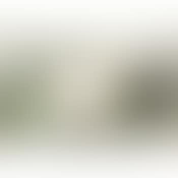 Bloemstilleven (preview)