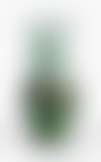 A 'Dragonfly' Vase (preview)