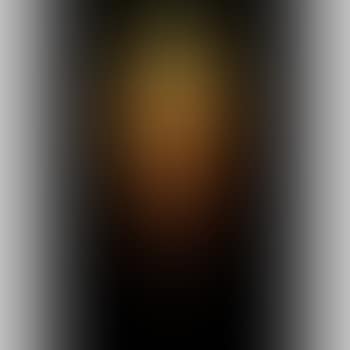 Vase with Iris Flowers (preview)