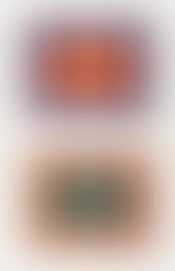 Untitled: Two Plates (preview)