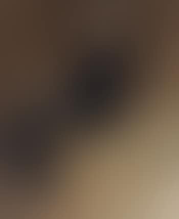 Portrait of Hippolyte Taine (preview)