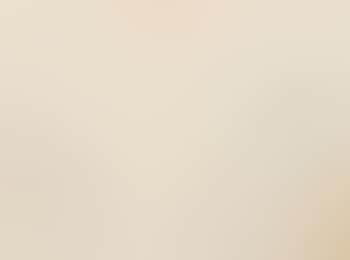 Untitled, 2013 (preview)