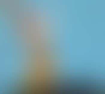 Landscape (preview)
