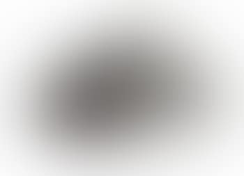 Thicket (preview)