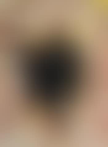LACMA Tar Pit (preview)