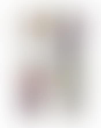 (i)-(xi) Untitled (preview)