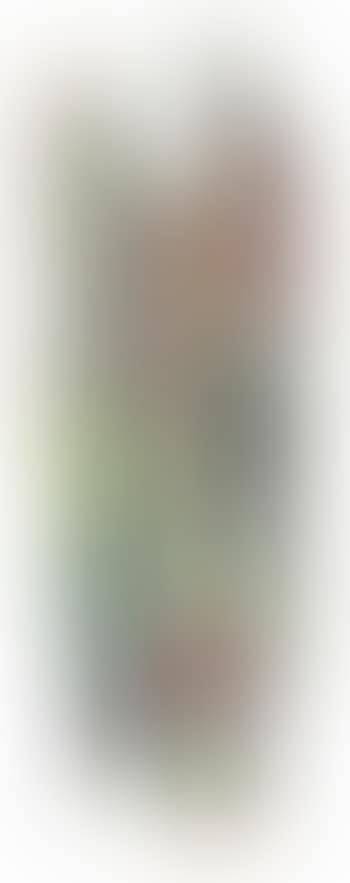 Vishh! (preview)