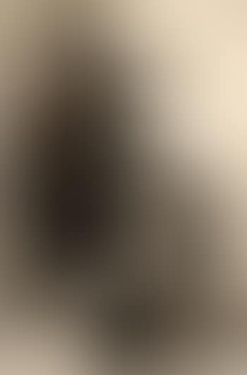 Paul Verlaine II (preview)
