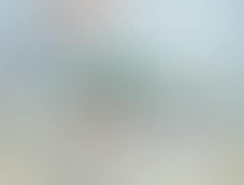 Beach scene (preview)