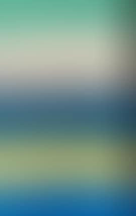 Abstract (preview)