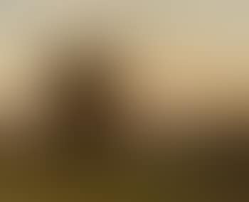 Riverscape at Sunset (preview)