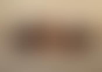 Dachshund Puppies (preview)