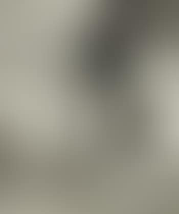 Engraving IX (from Swan engraving) (preview)