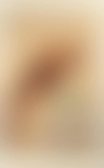 Kestrel Series (preview)