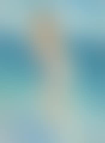 Pin-Up Standing in the Waves (preview)