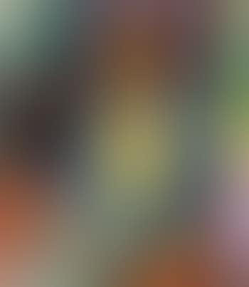 Die chinesische Jacke (preview)